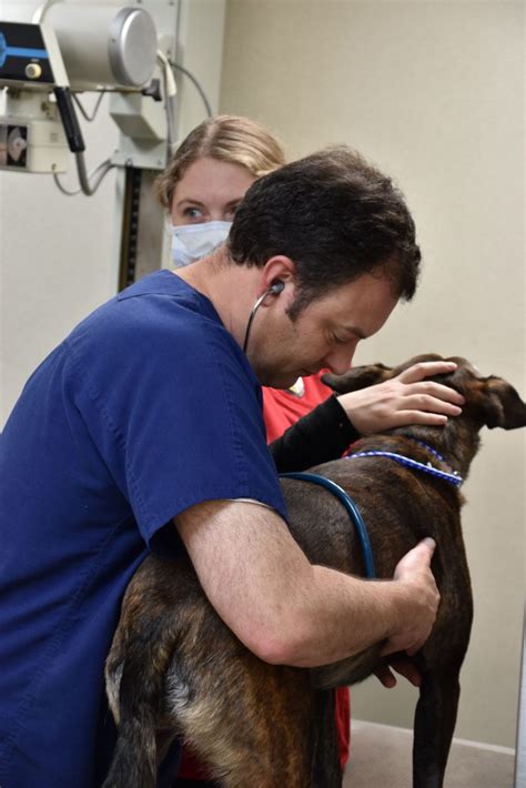 prairie village animal hospital mn.